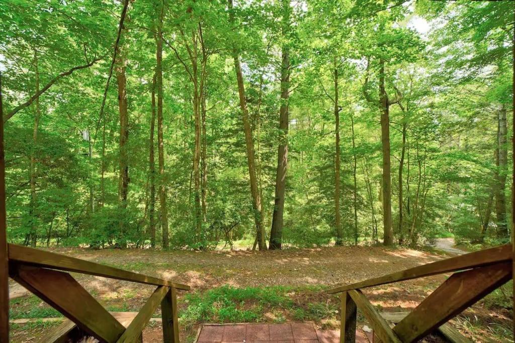 Bear Den Bungalow With Hot Tub Near Blue Ridge And Ellijay Exterior foto